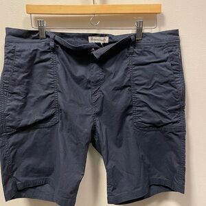 Backcountry Men's Navy Shorts